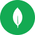 program